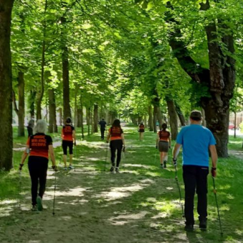 Clases de iniciación de Marcha Nórdica