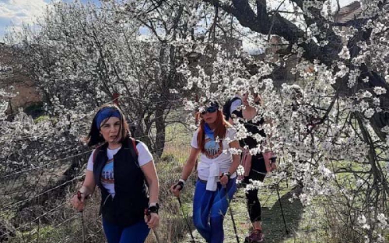 Excursión entre almendros.