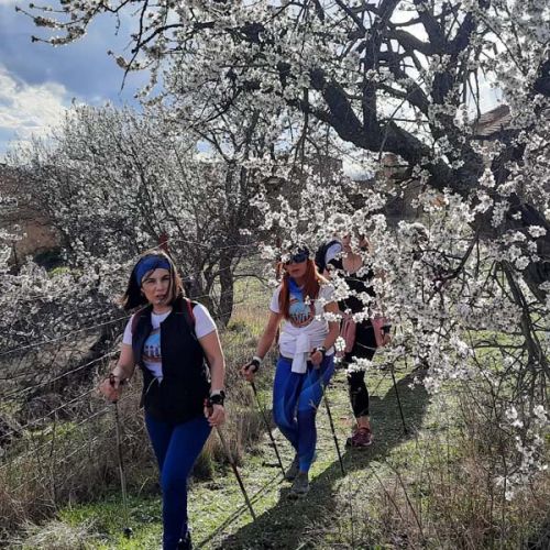 Excursión entre almendros.