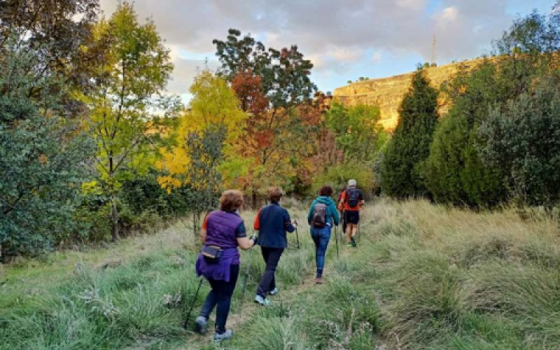 Valle de Tejadilla, Segovia